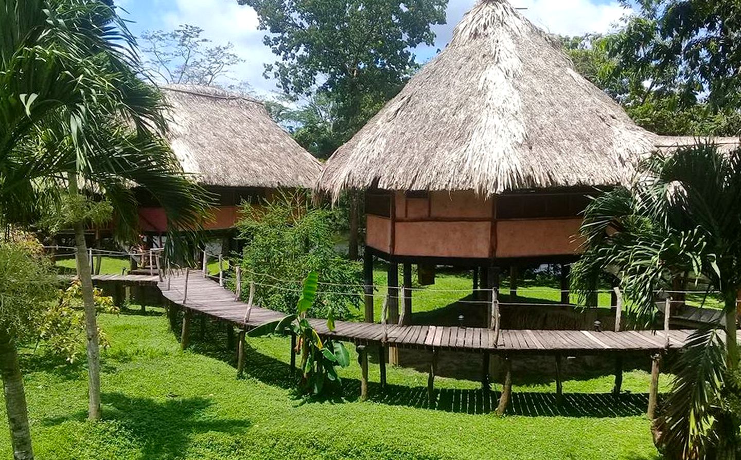 Eco-Friendly Hut Rental for a Vacation near Punta Gorda in Belize