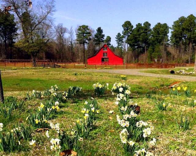 Barns (Washington, Arkansas, United States)