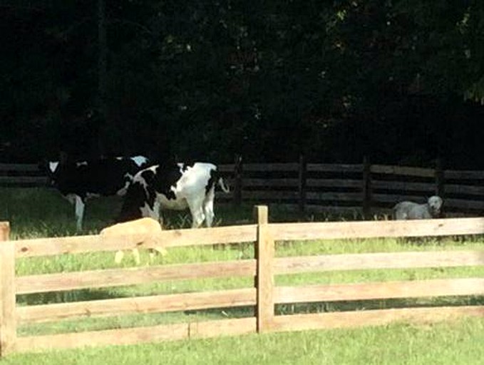 Log Cabins (Washington, Arkansas, United States)