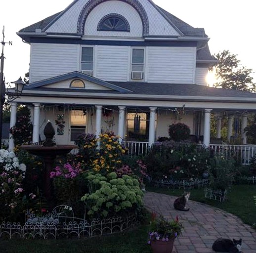 Cabins (Lanesboro, Minnesota, United States)