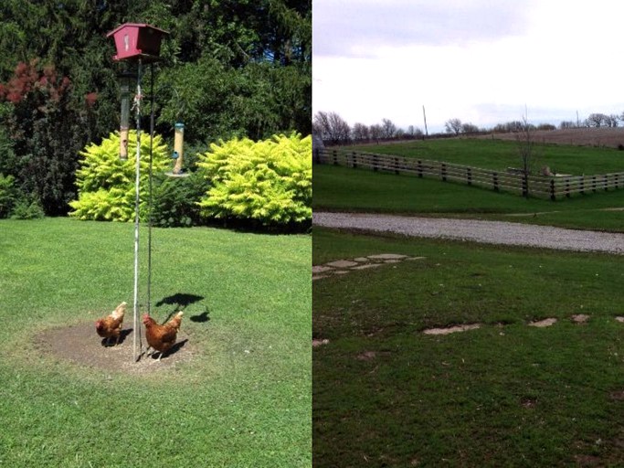 Cabins (Lanesboro, Minnesota, United States)