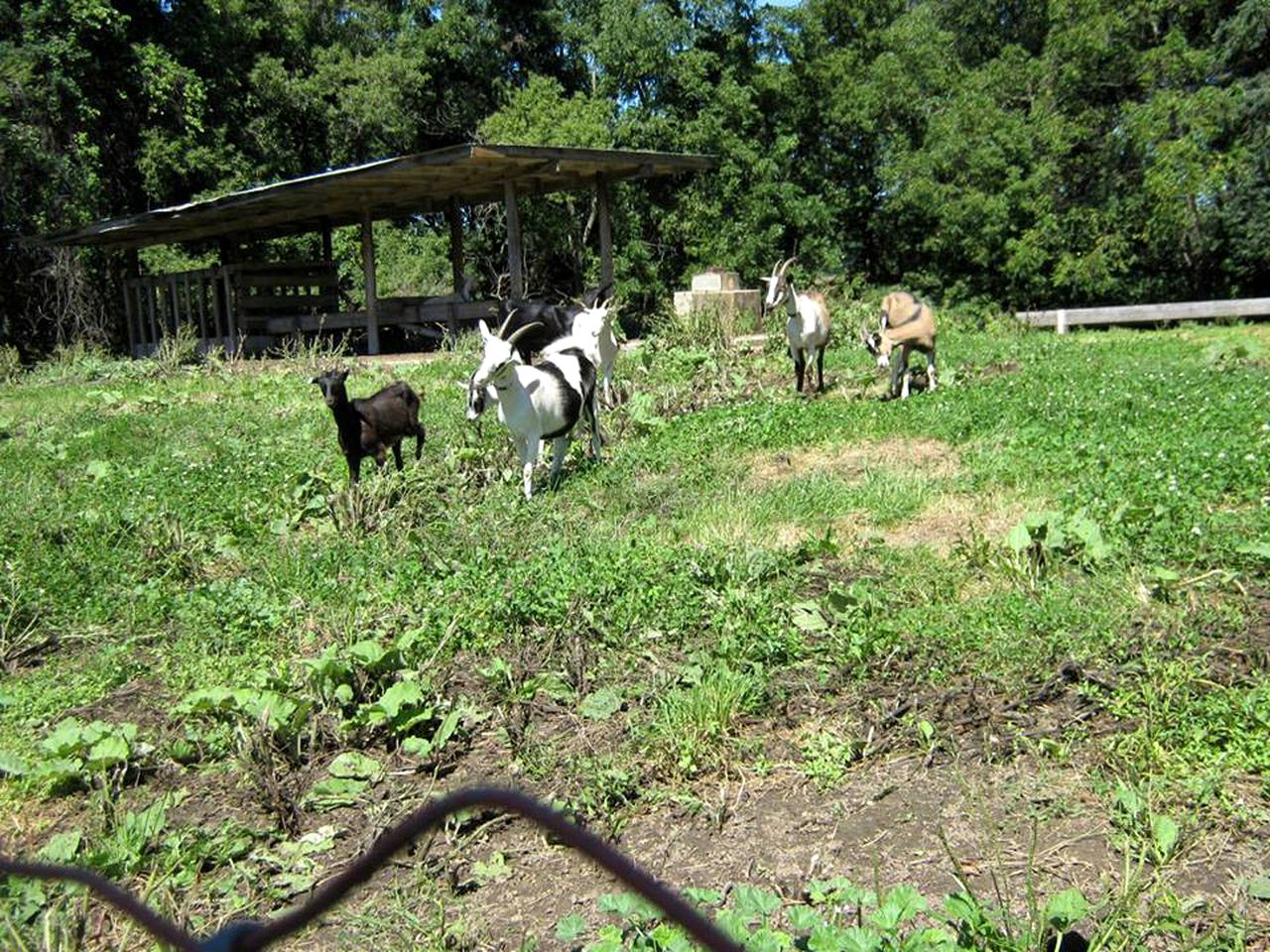 Rustic Room Rental in Lovely Bed and Breakfast near Lanesboro, Minnesota