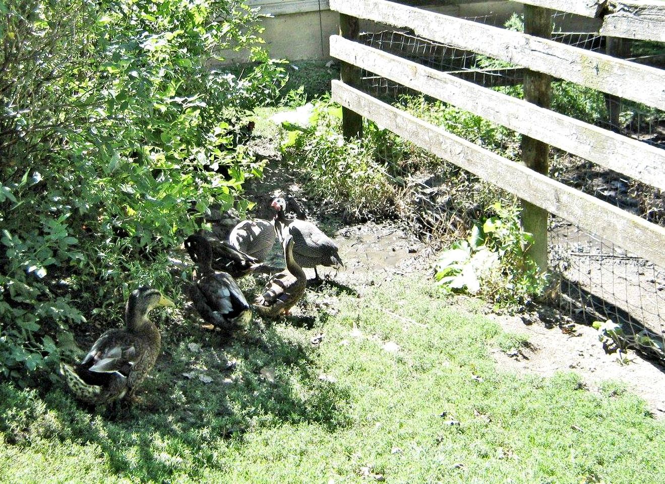 Rustic Room Rental in Lovely Bed and Breakfast near Lanesboro, Minnesota