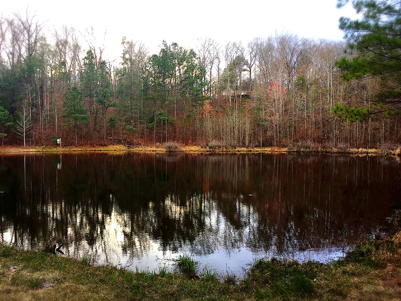 Serene Cottage Rental with a Fireplace near Fosters, Alabama