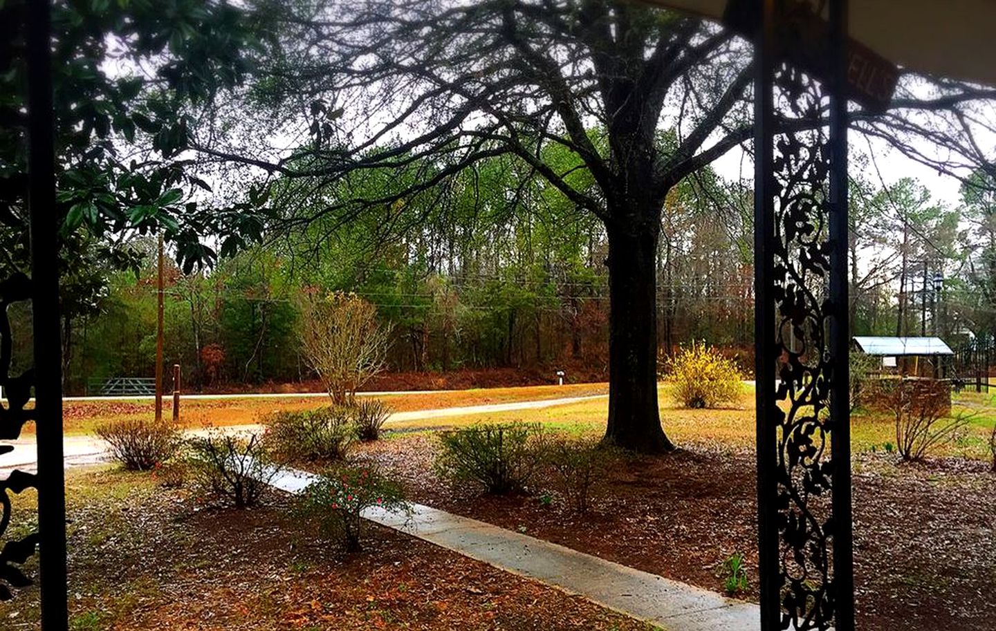 Serene Cottage Rental with a Fireplace near Fosters, Alabama