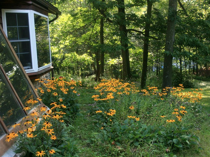 Cabins (Spring Grove, Minnesota, United States)