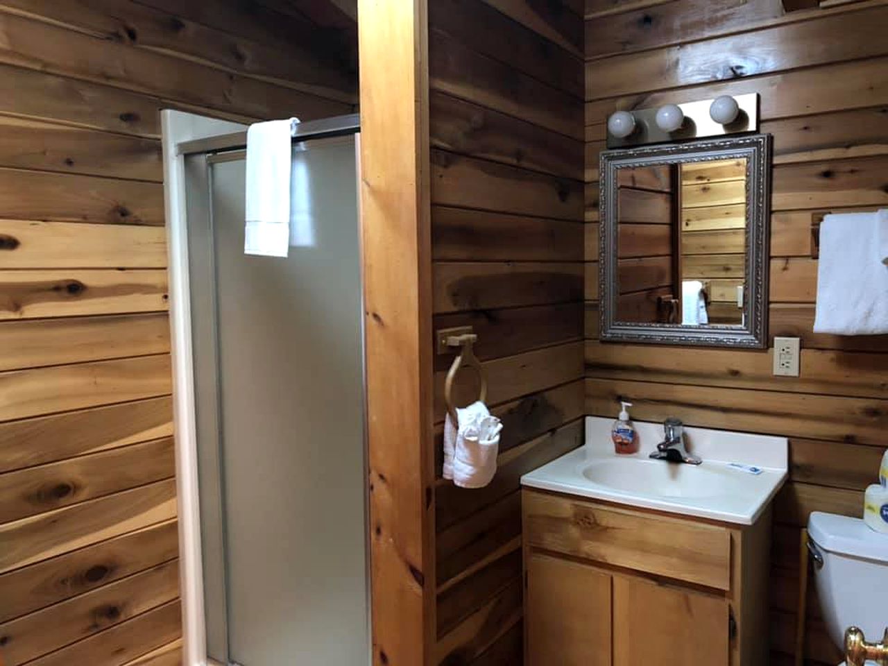 Picturesque Cabin Rental near Watoga State Park in West Virginia