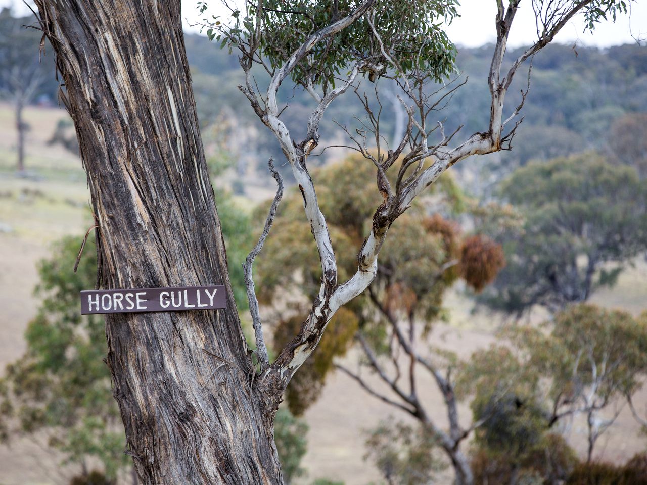 Countryside Cabin Rental near the Blue Mountains and Mudgee, New South Wales