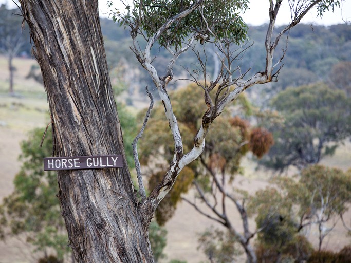 Cabins (Capertee, New South Wales, Australia)