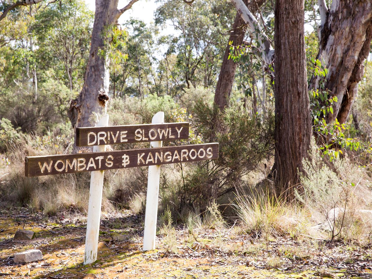 Countryside Cabin Rental near the Blue Mountains and Mudgee, New South Wales