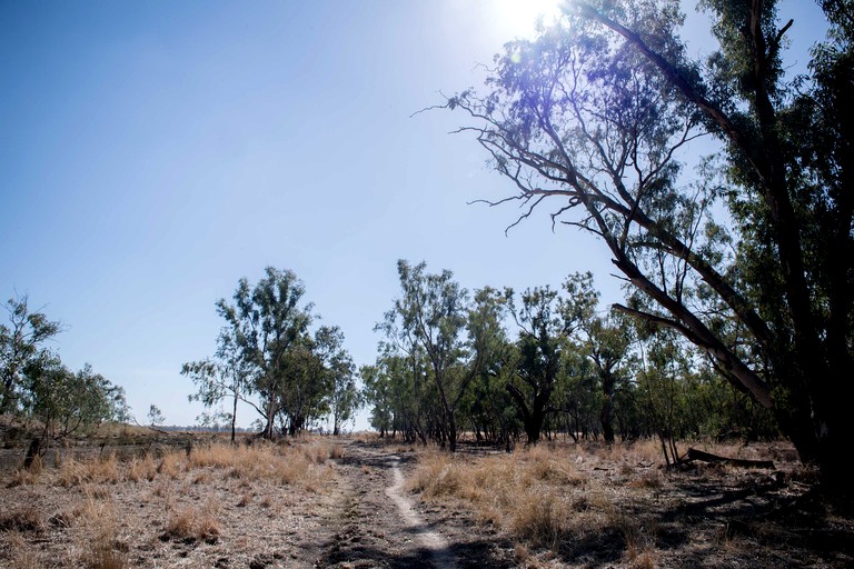 Tiny Houses (Australia, Parkes Shire, New South Wales)