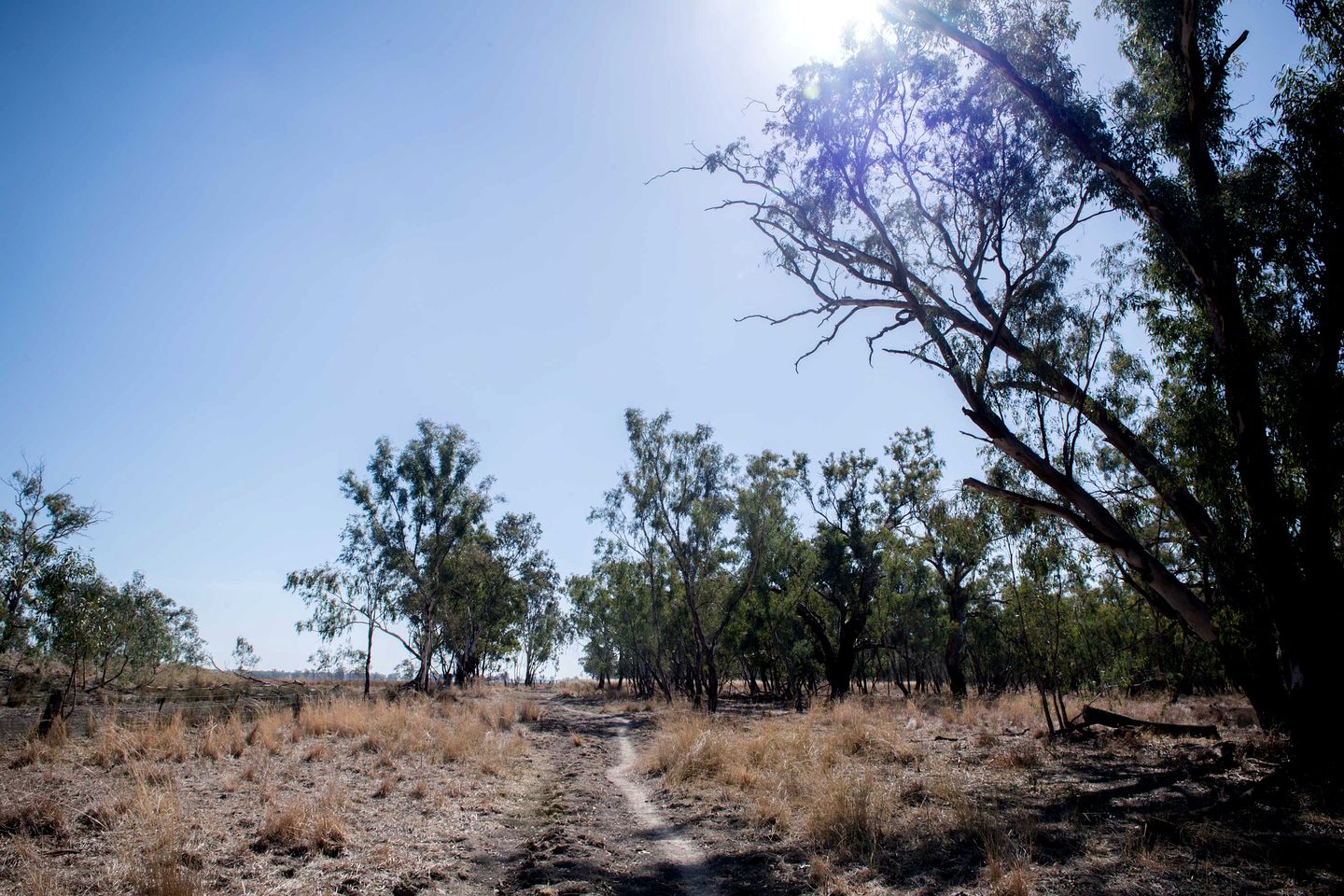 Countryside Tiny House Ideal for a Tranquil Retreat in New South Wales