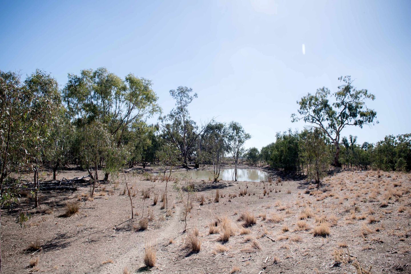 Countryside Tiny House Ideal for a Tranquil Retreat in New South Wales