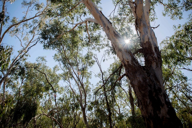 Tiny Houses (Australia, Parkes Shire, New South Wales)