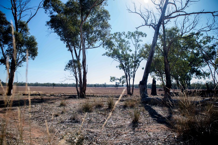 Tiny Houses (Australia, Parkes Shire, New South Wales)