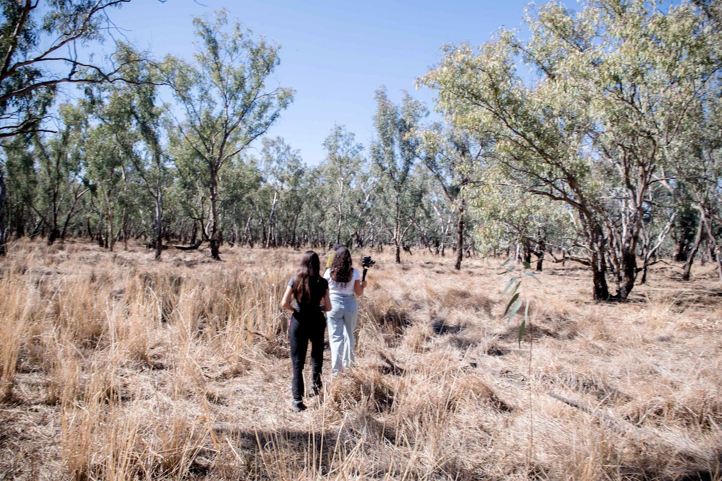 Countryside Tiny House Ideal for a Tranquil Retreat in New South Wales
