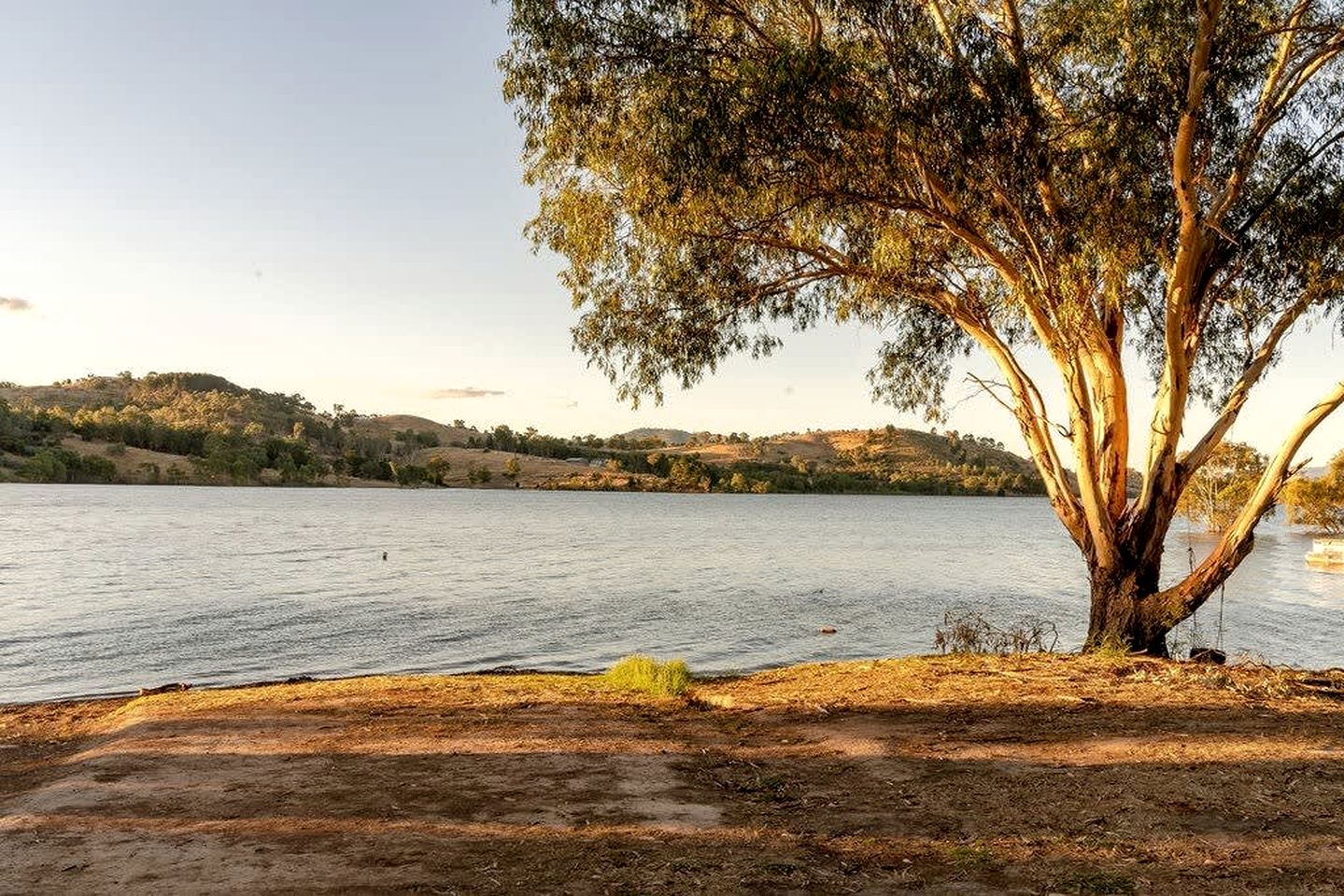 Countryside Tiny House for a Pet Friendly Glamping Getaway in Howes Creek, Victoria