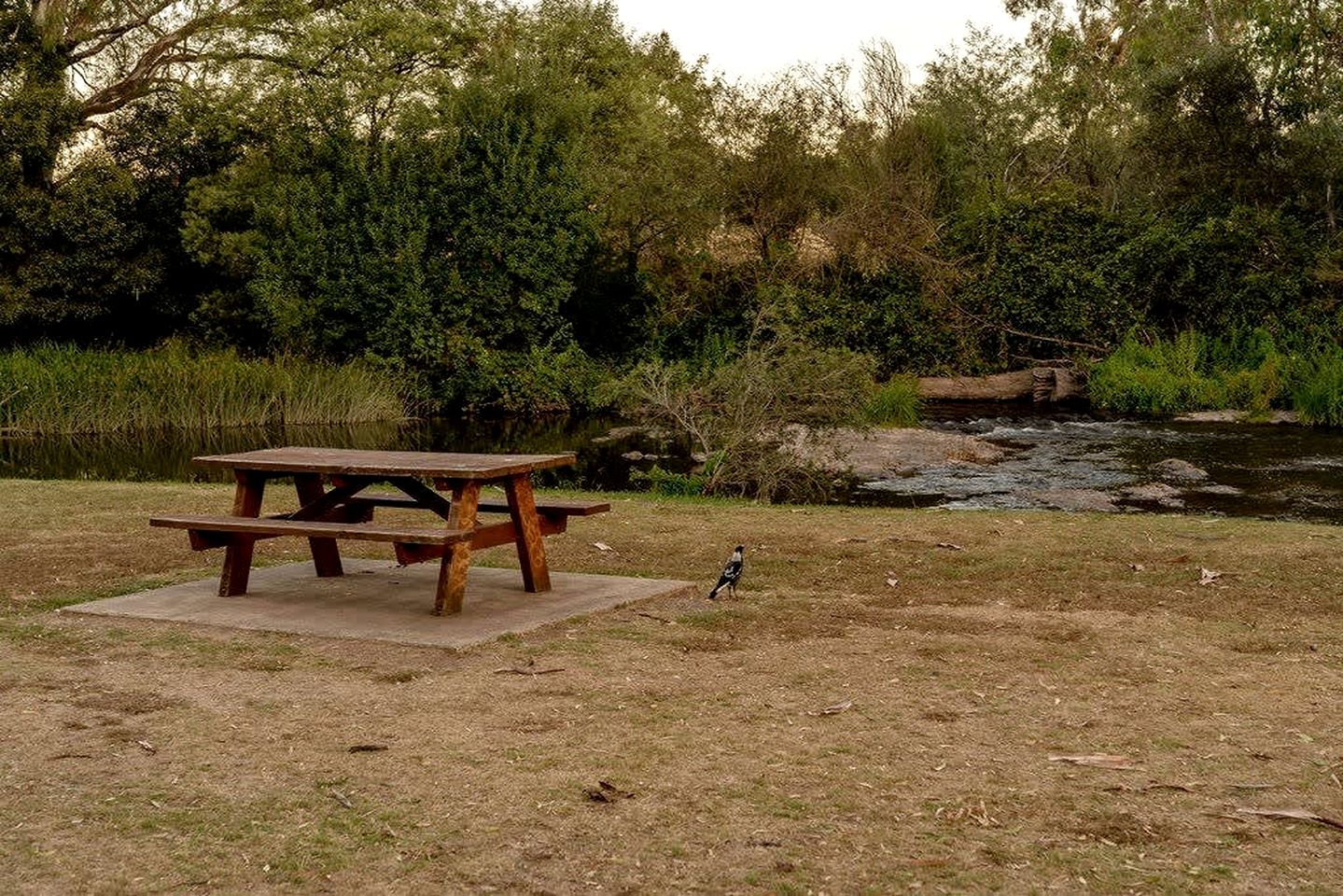 Countryside Tiny House for a Pet Friendly Glamping Getaway in Howes Creek, Victoria