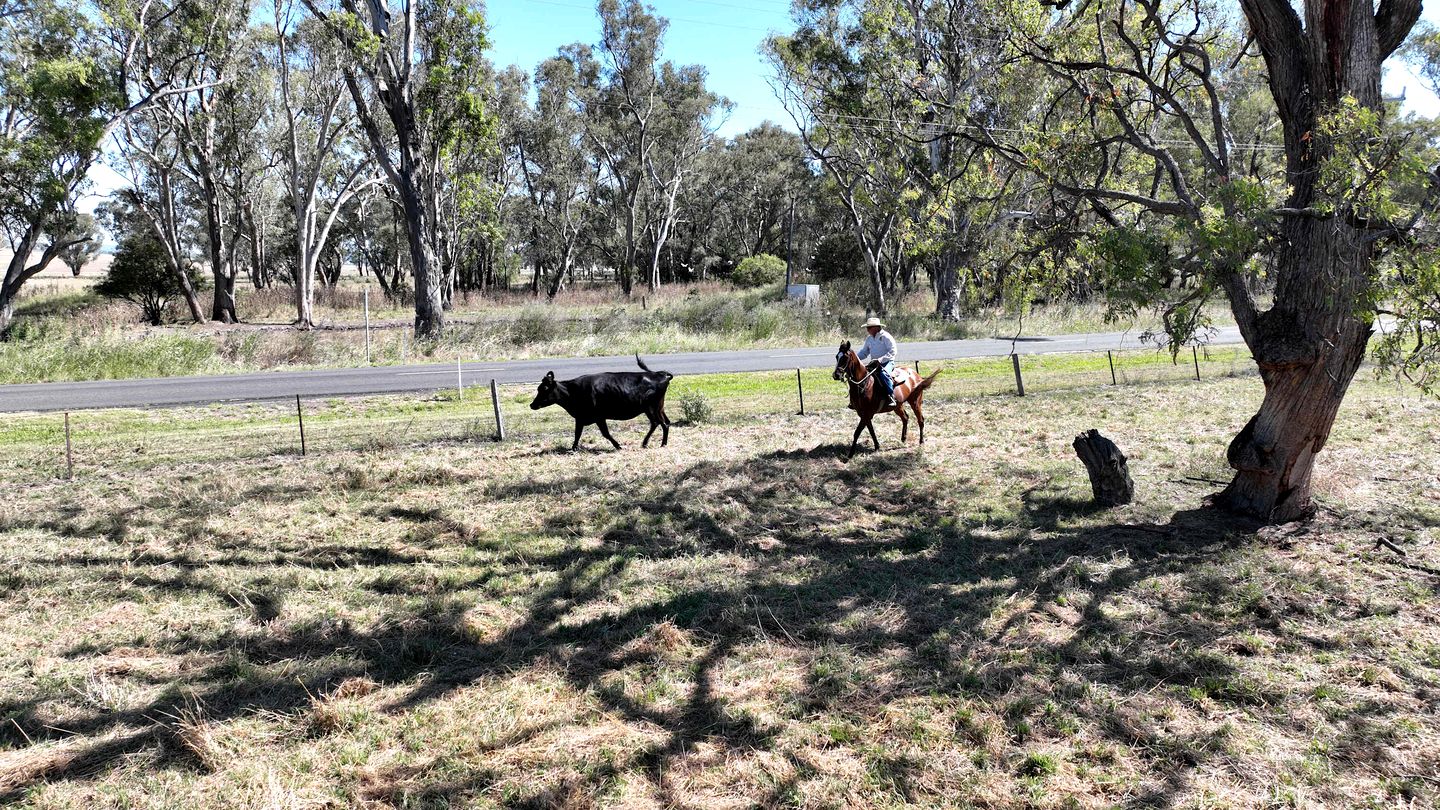 Countryside Tiny House Well Equipped in Werris Creek, New South Wales