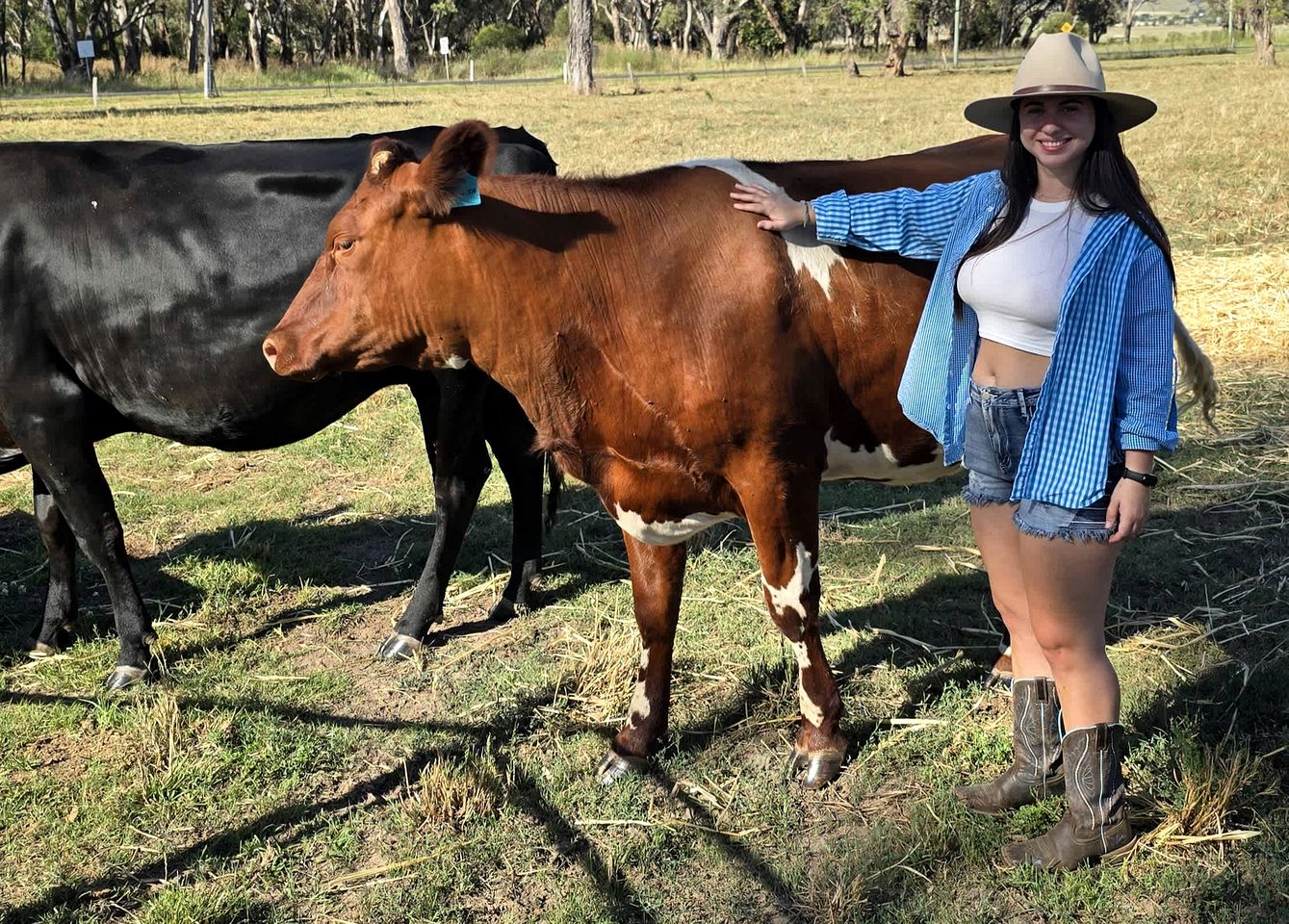 Countryside Tiny House Well Equipped in Werris Creek, New South Wales