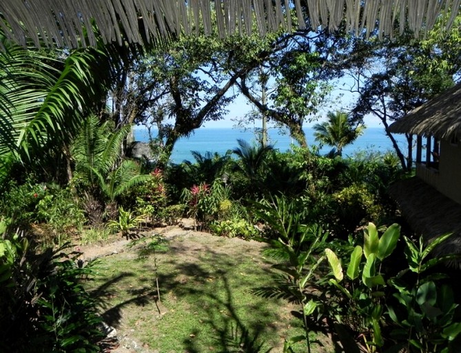 Cabins (Osa Peninsula, Puntarenas, Costa Rica)