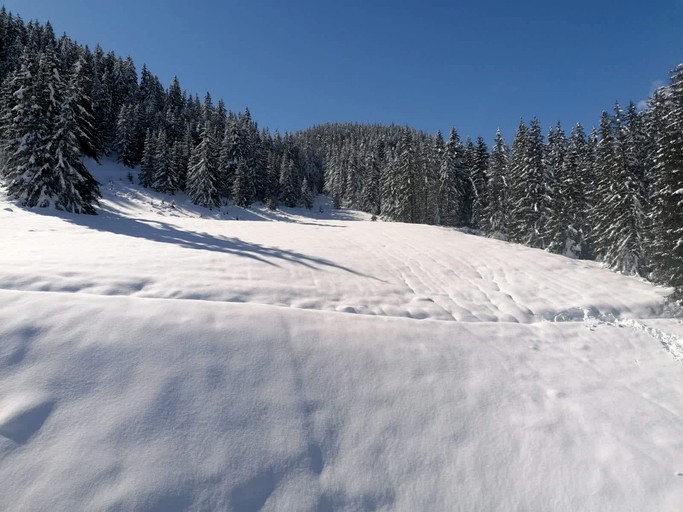 Vacation Rentals (France, Courchevel, Auvergne-Rhône-Alpes)