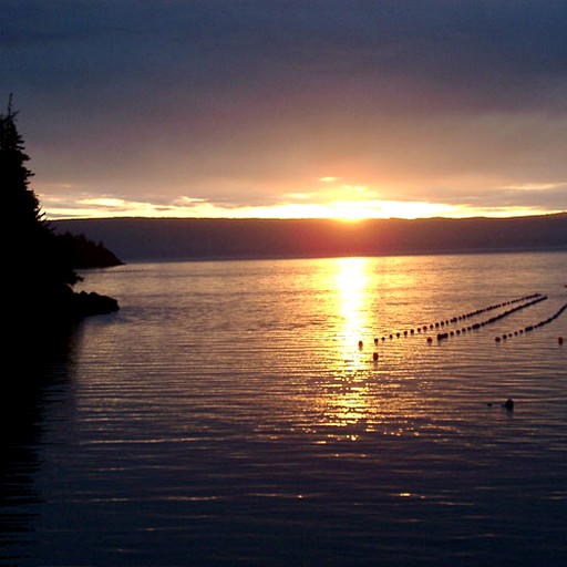 Log Cabins (Halibut Cove, Alaska, United States)