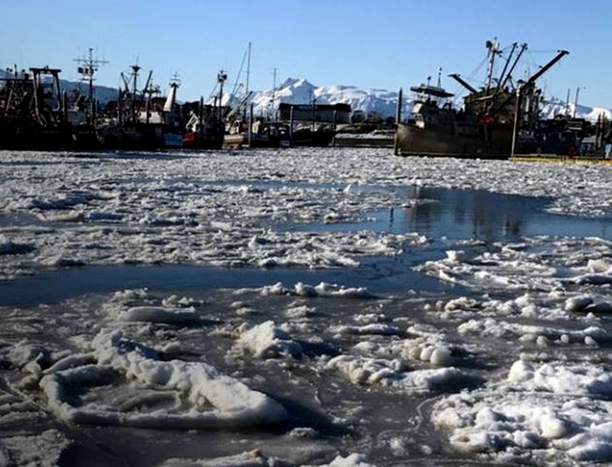 Rustic Log Cabin Rentals in Kachemak Bay, Alaska