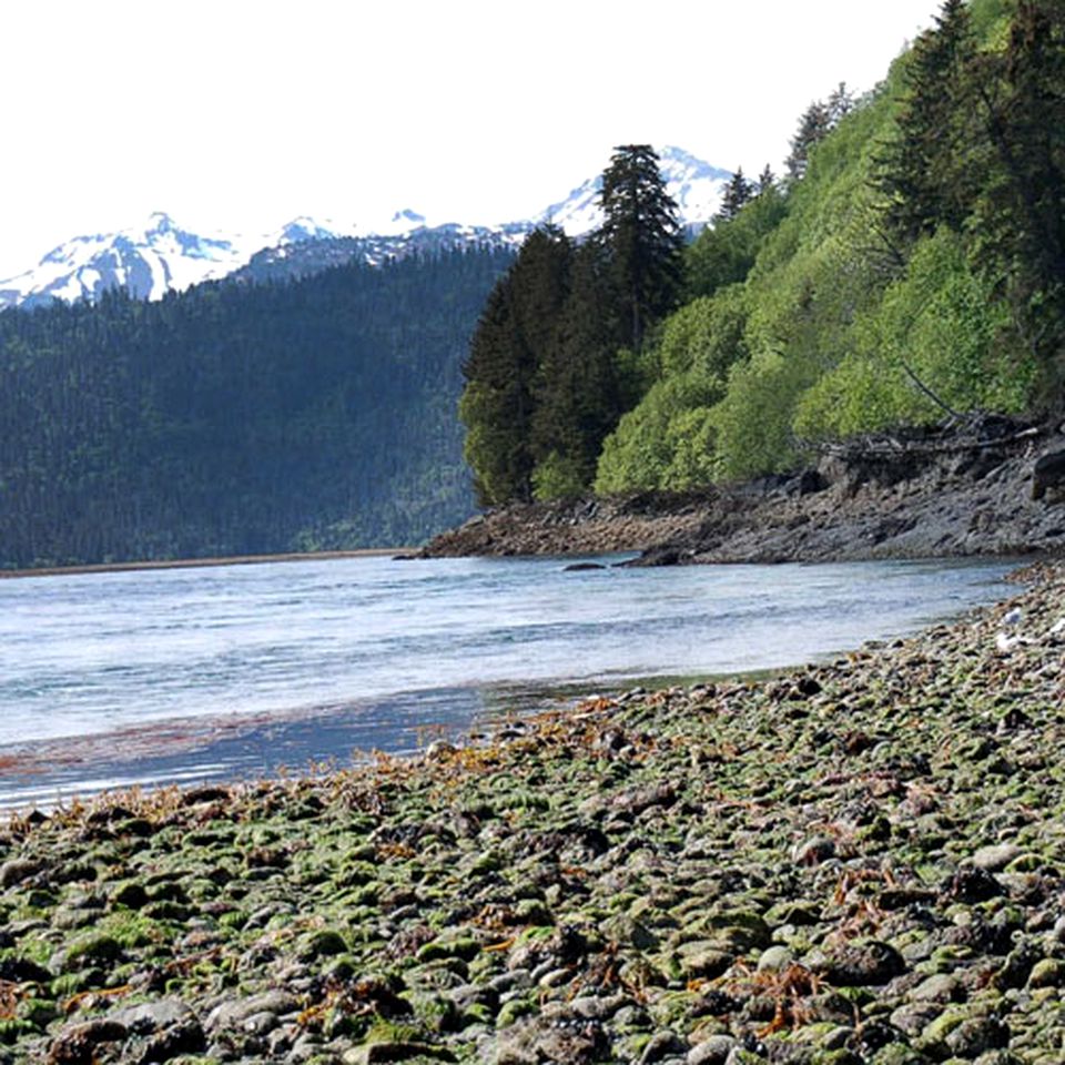 Rustic Log Cabin Rentals in Kachemak Bay, Alaska