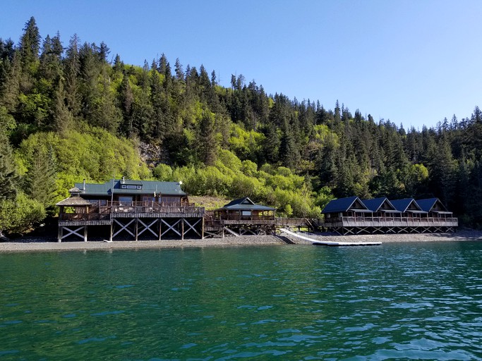 Log Cabins (Halibut Cove, Alaska, United States)