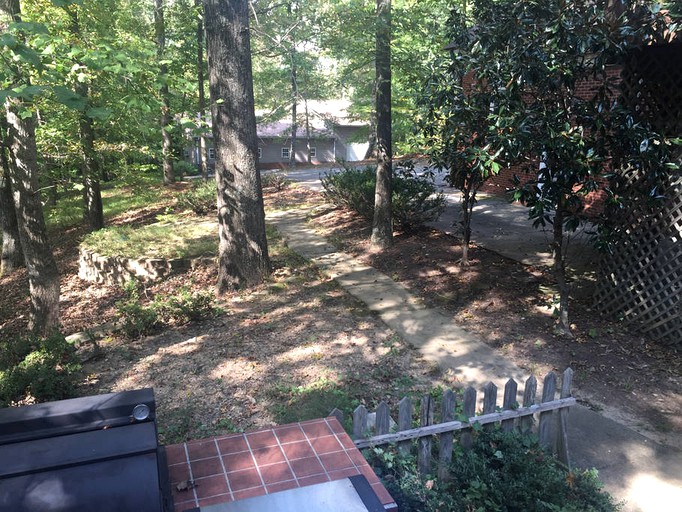 BEF Mansion in the Woods, Vacation Rentals, Franklin, United States of America Glamping Hub