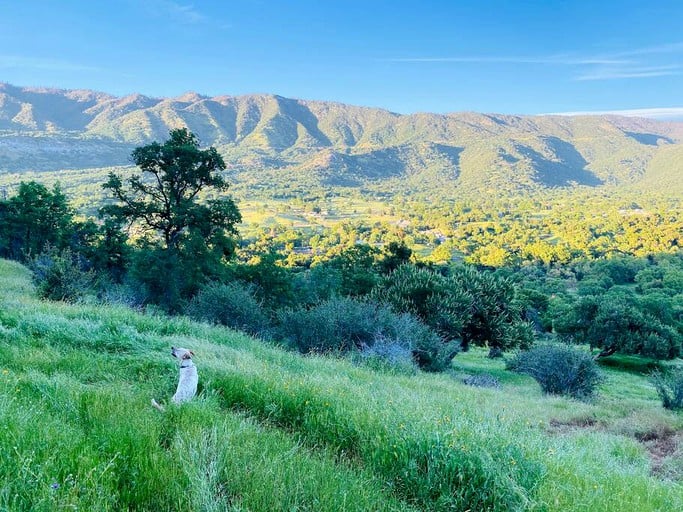 Tiny Houses (United States of America, Squaw Valley, California)