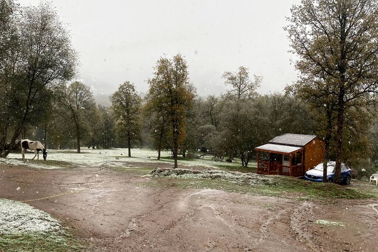 Cozy Tiny House on a 72-Acre Animal Sanctuary in Squaw Valley, California