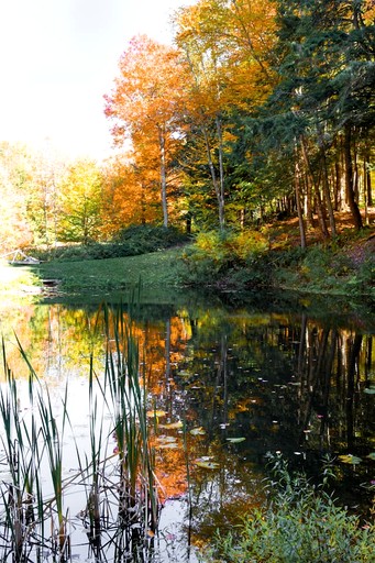 Vacation Rentals (United States of America, Pine Hill, New York)