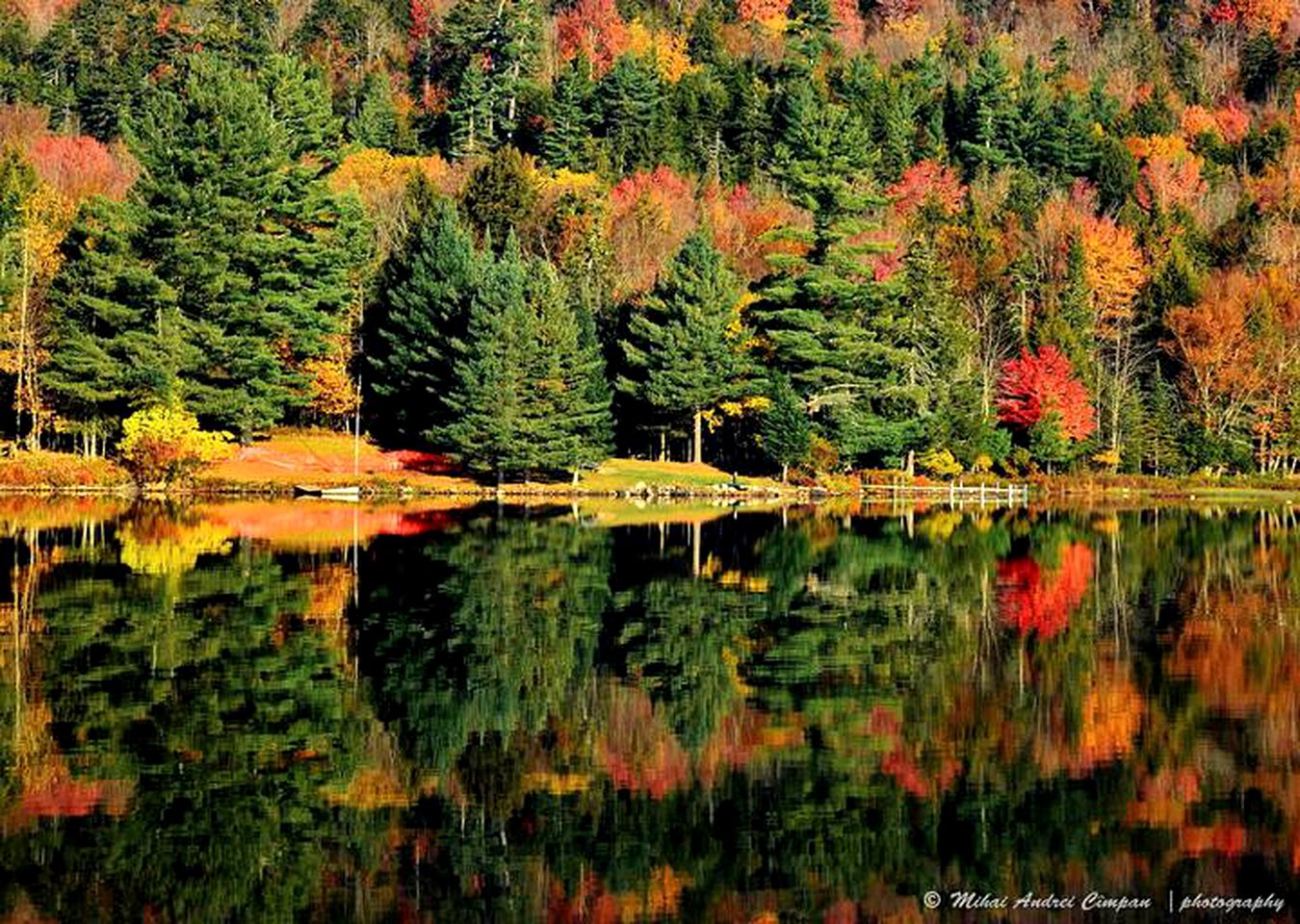 Cozy Adirondack Cabin Nestled in the Forest Only Footsteps Away From Big Moose Lake, New York