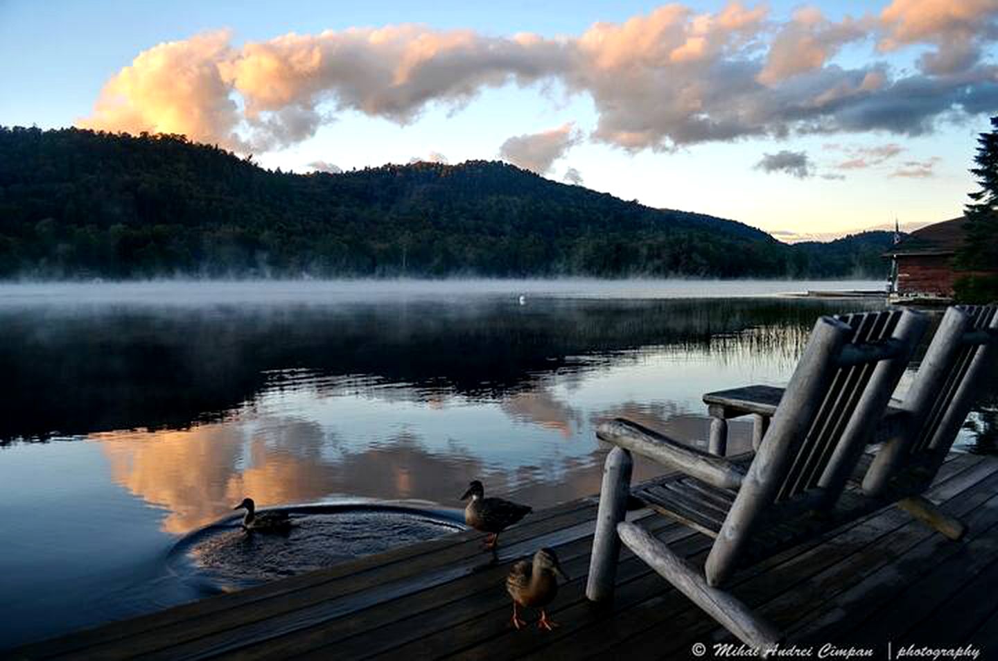 Cozy Adirondack Cabin Nestled in the Forest Only Footsteps Away From Big Moose Lake, New York