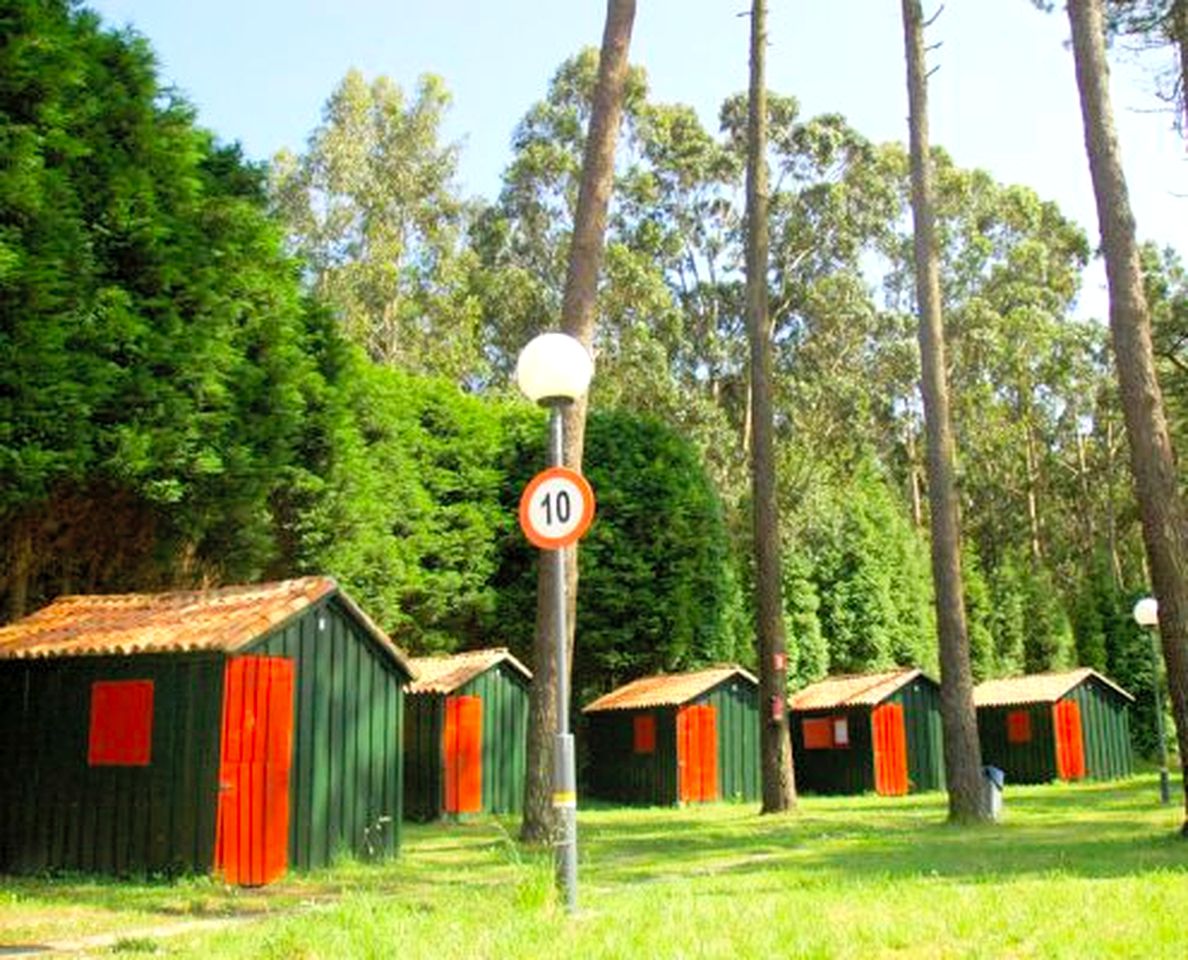 Cozy and Pet-Friendly Camping Cabins in Galicia, Spain