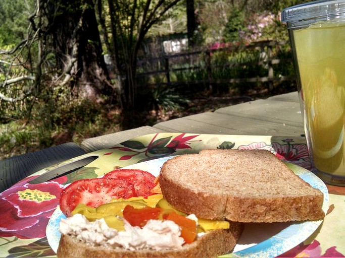 Cabins (Hughes Springs, Texas, United States)