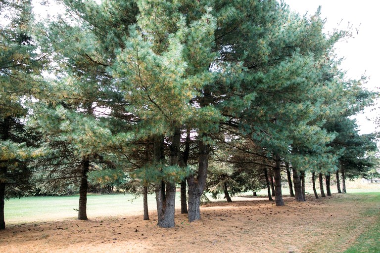 Nature Lodges (Doylestown, Pennsylvania, United States)