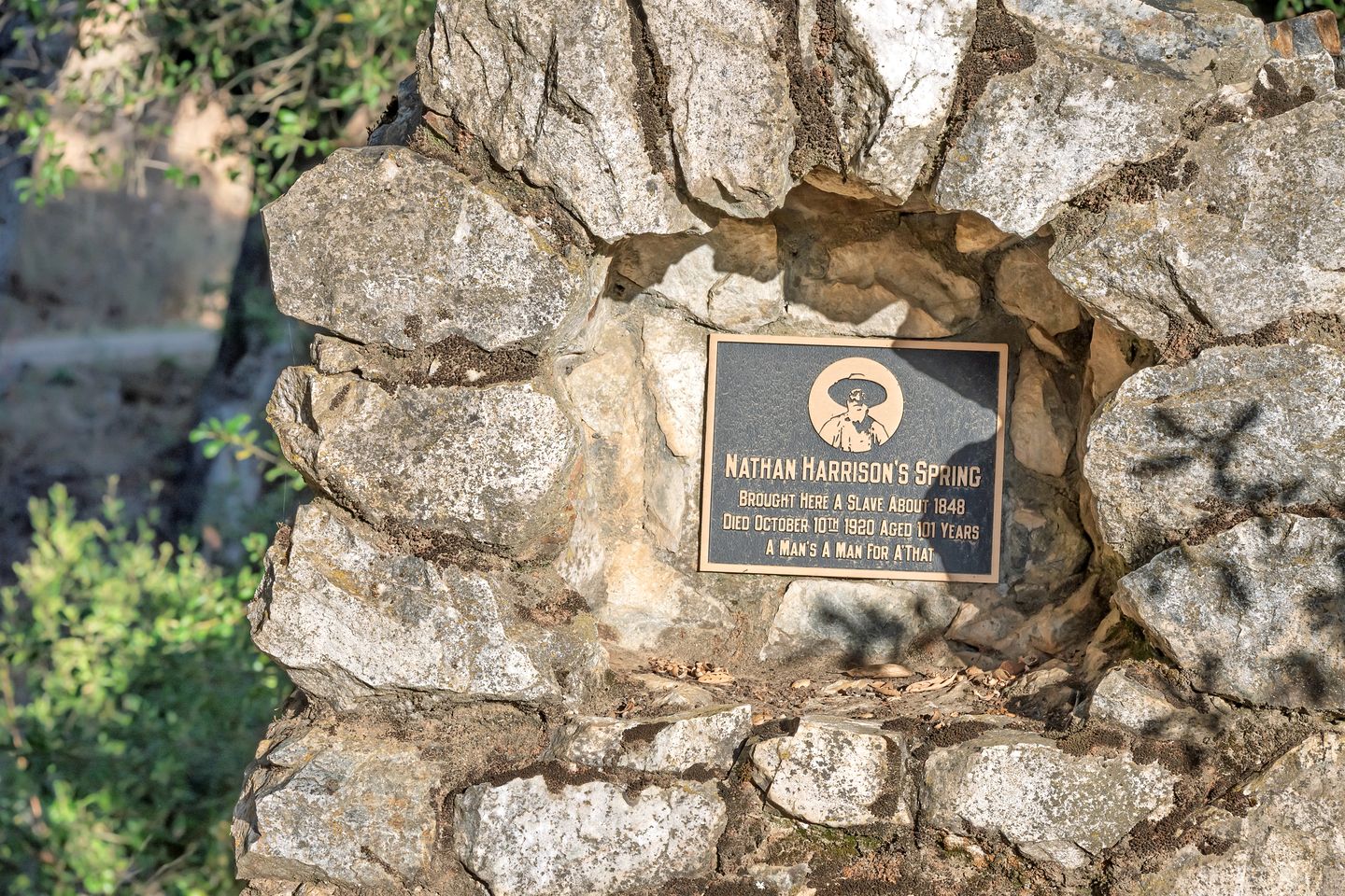 Cozy Bell Tent with Valley Views and Off-Grid Glamping near Palomar Mountain California