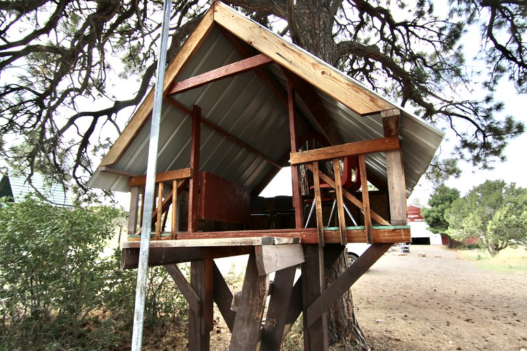 Cabins (United States of America, Monticello, Utah)