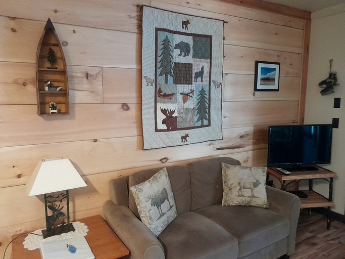 Cabins (United States of America, Indian Lake, New York)