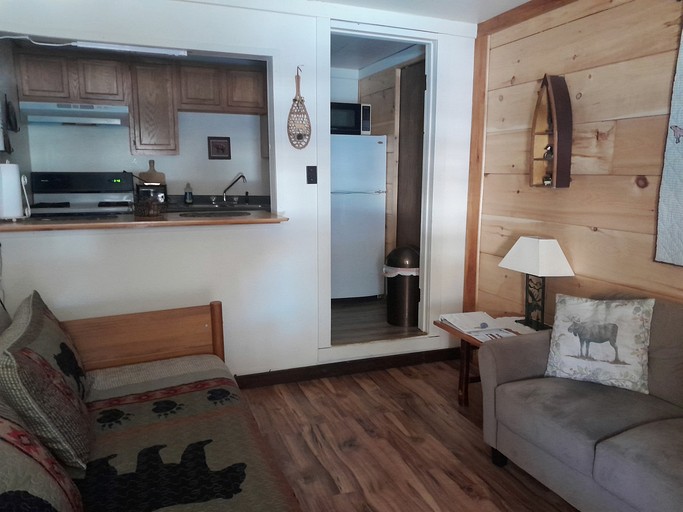 Cabins (United States of America, Indian Lake, New York)