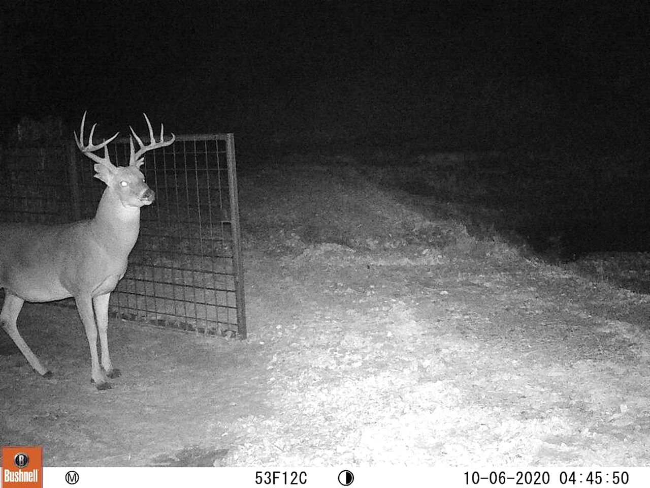 Cozy Cabin for Glamping Stay on Lake Godstone, Texas