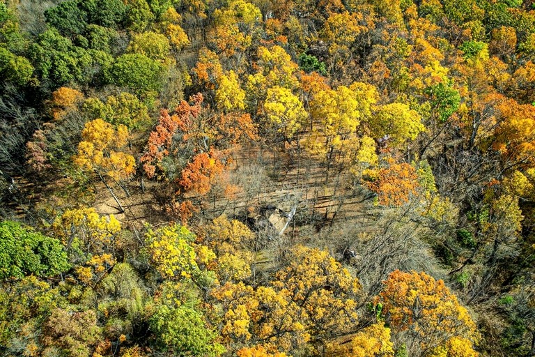 Cabins (United States of America, Rock Gap, West Virginia)