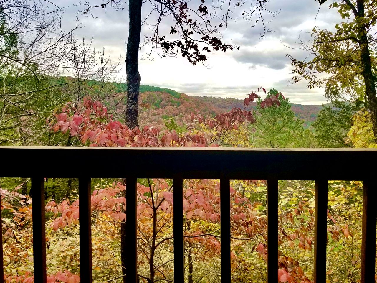 Cozy Cabin with Indoor Jacuzzi Great for Couples in Arkansas