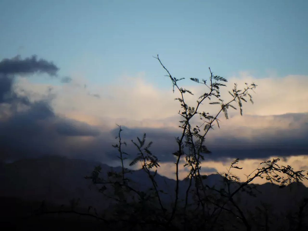 Cabin Getaway with Pool near Joshua Tree in Twentynine Palms, California