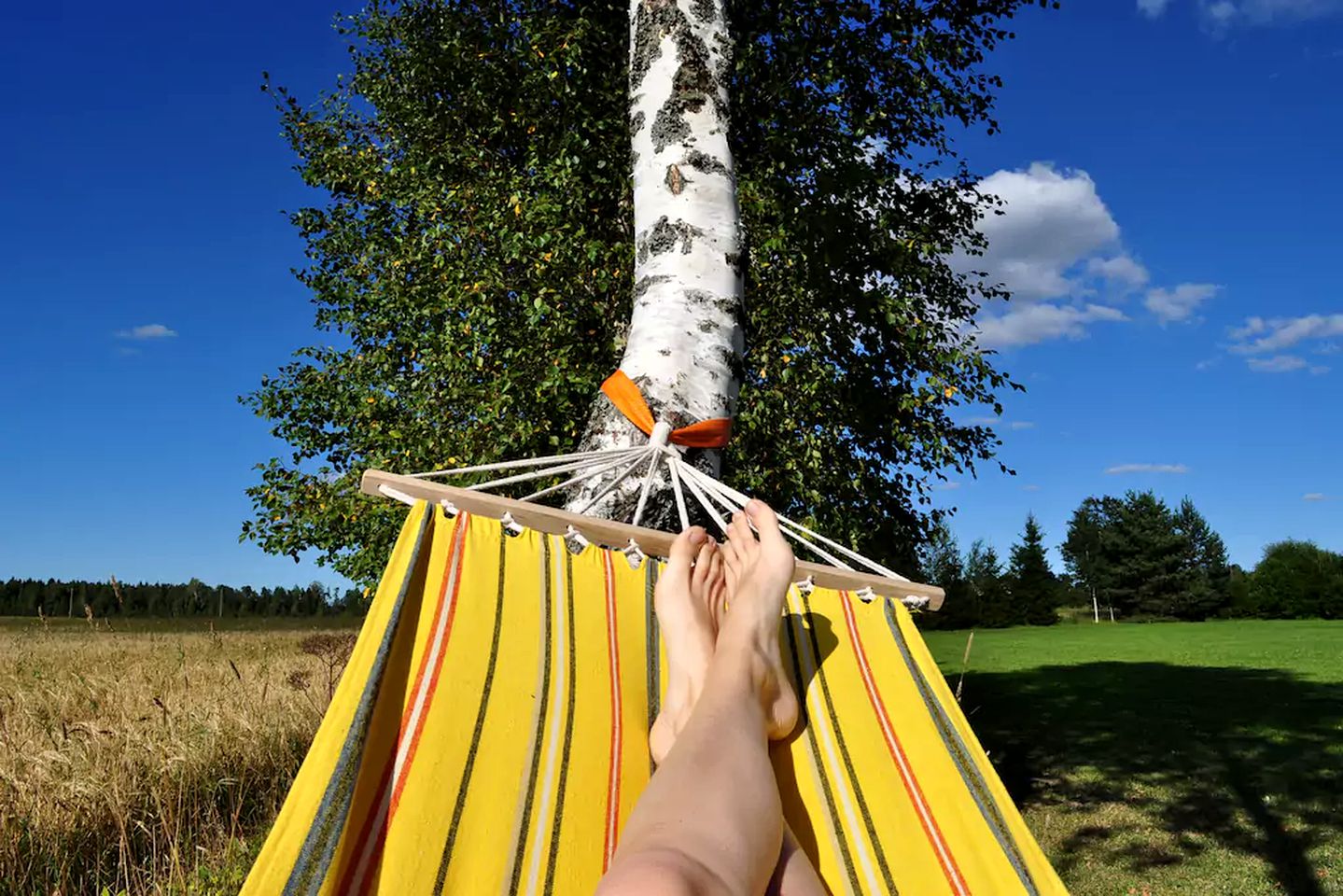 Lovely Glamping Cabin with Gorgeous Meadow Views in Estonia