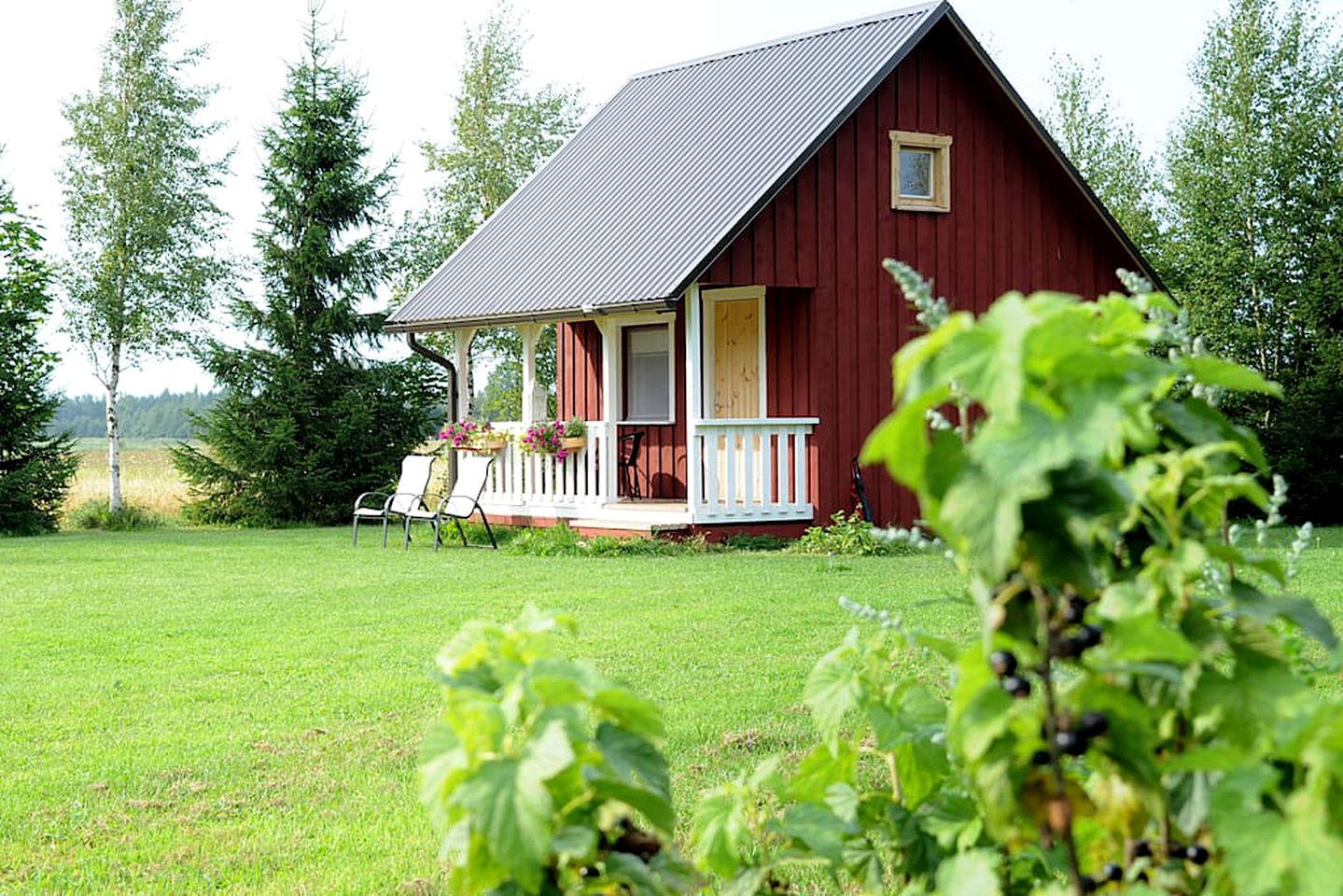 Lovely Glamping Cabin with Gorgeous Meadow Views in Estonia