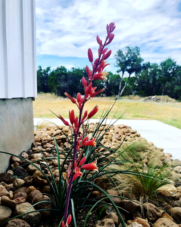 Cozy Cabin in the Texan Countryside for Glamping Vacations in Wimberley